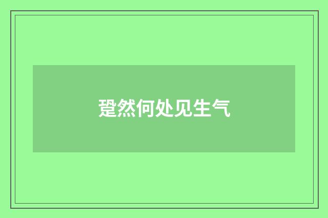 跫然何处见生气