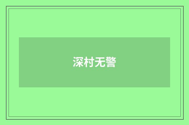 深村无警