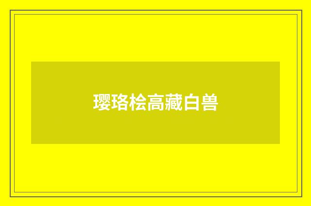 璎珞桧高藏白兽