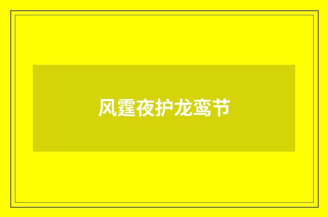 风霆夜护龙鸾节