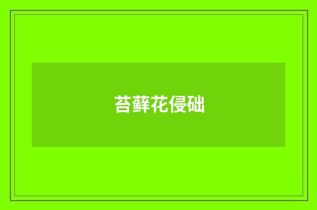苔藓花侵础