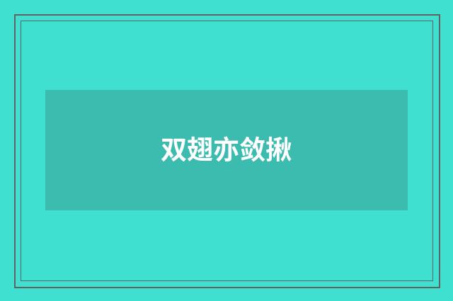 双翅亦敛揪