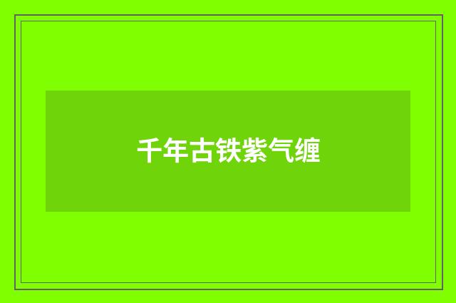 千年古铁紫气缠