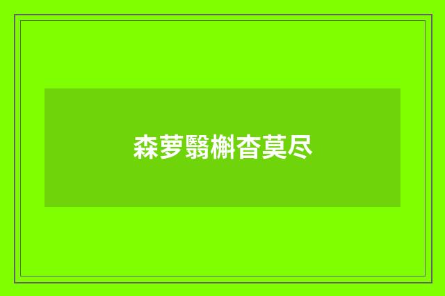 森萝翳槲杳莫尽