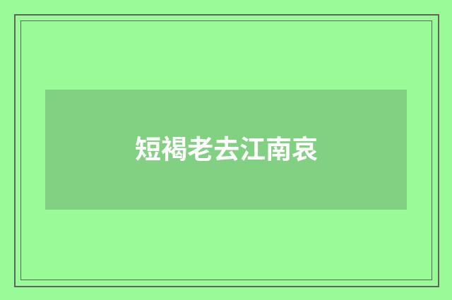 短褐老去江南哀