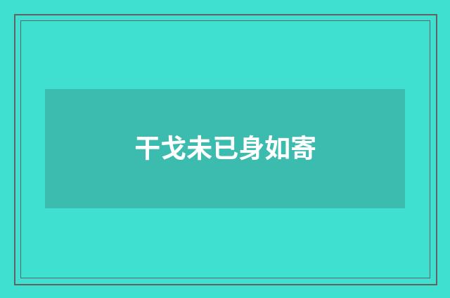 干戈未已身如寄