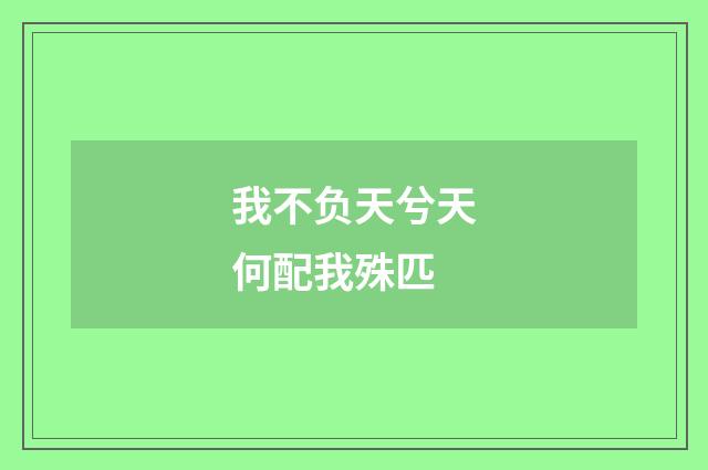 我不负天兮天何配我殊匹