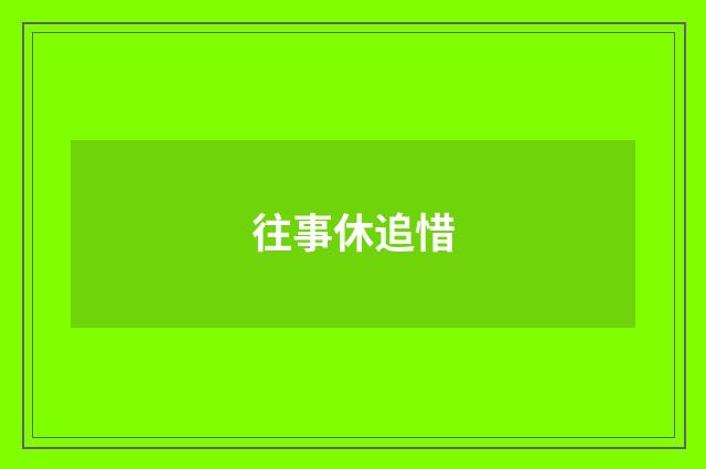 往事休追惜