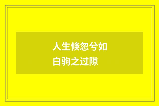 人生倏忽兮如白驹之过隙