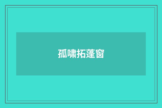 孤啸拓蓬窗