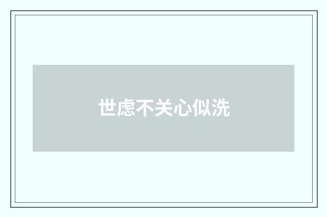 世虑不关心似洗