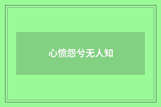 心愤怨兮无人知