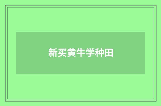 新买黄牛学种田