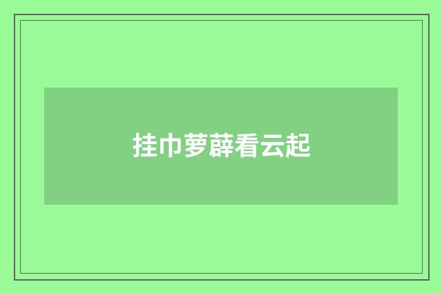 挂巾萝薜看云起