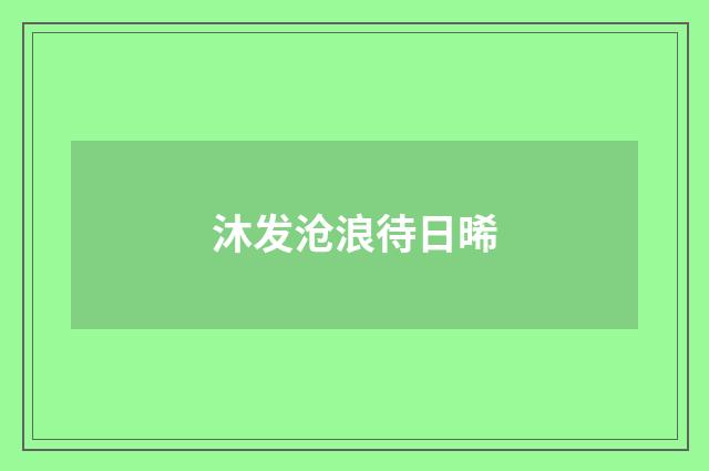 沐发沧浪待日晞
