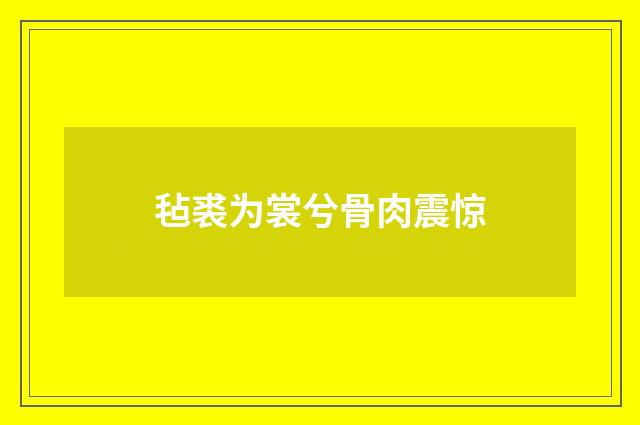 毡裘为裳兮骨肉震惊