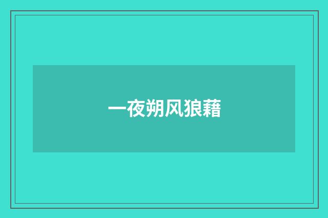 一夜朔风狼藉