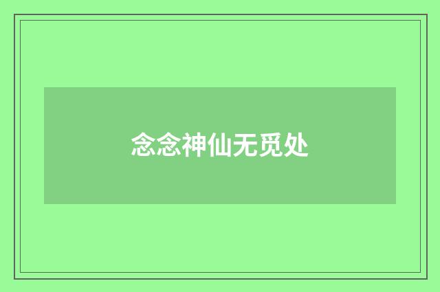 念念神仙无觅处
