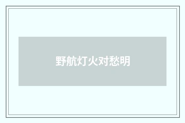 野航灯火对愁明