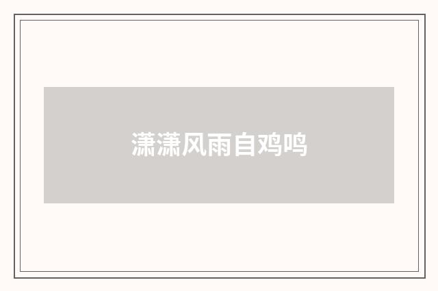 潇潇风雨自鸡鸣