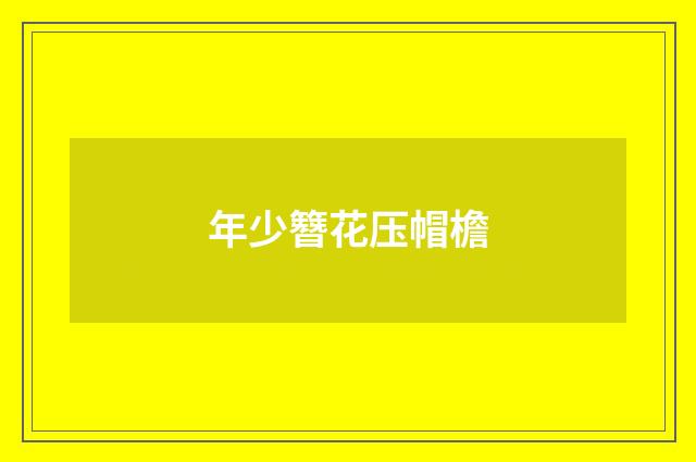 年少簪花压帽檐