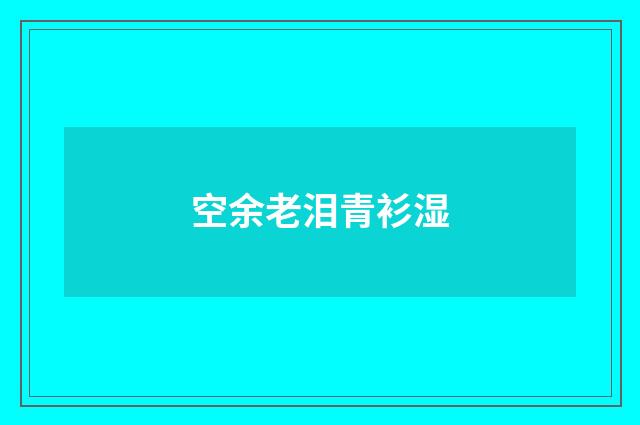 空余老泪青衫湿