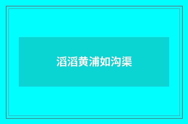 滔滔黄浦如沟渠