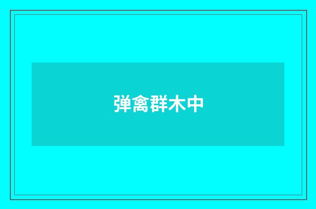 弹禽群木中