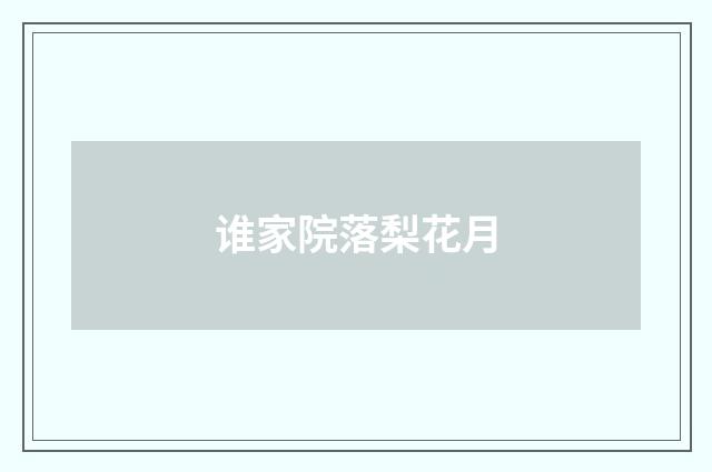 谁家院落梨花月