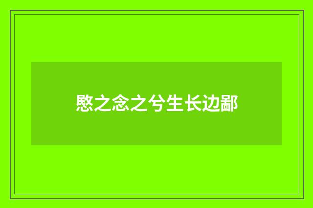 愍之念之兮生长边鄙