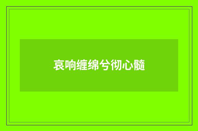 哀响缠绵兮彻心髓