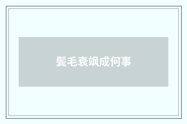 鬓毛衰飒成何事