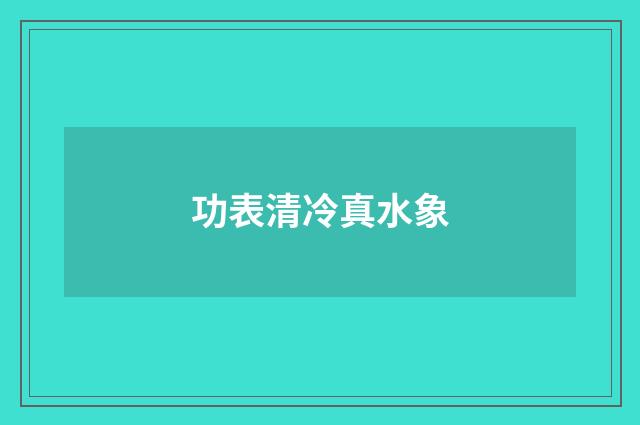 功表清冷真水象