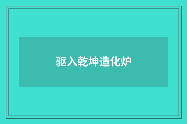 驱入乾坤造化炉