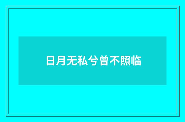 日月无私兮曾不照临