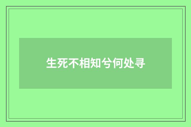 生死不相知兮何处寻