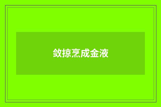 敛掠烹成金液