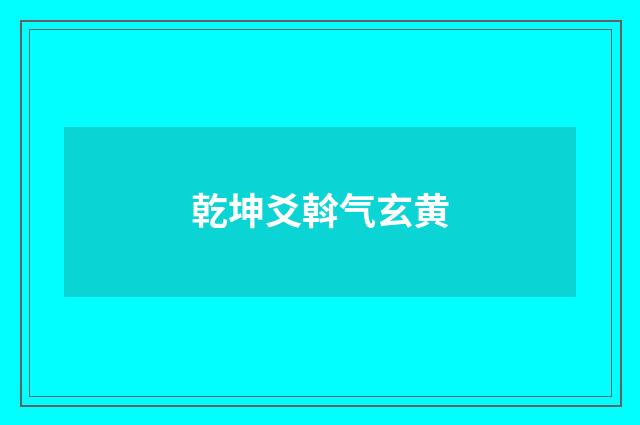 乾坤爻斡气玄黄