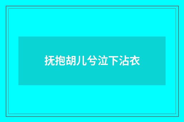 抚抱胡儿兮泣下沾衣