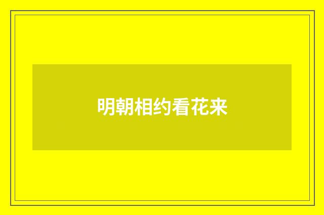 明朝相约看花来