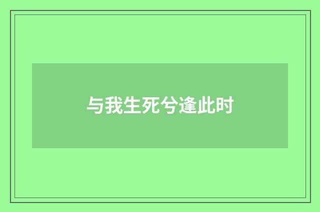 与我生死兮逢此时