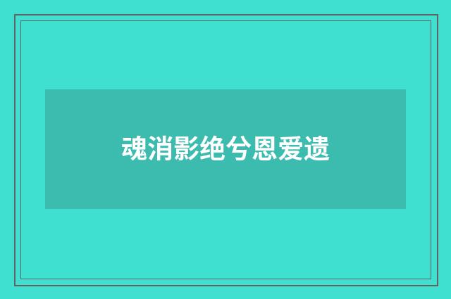 魂消影绝兮恩爱遗