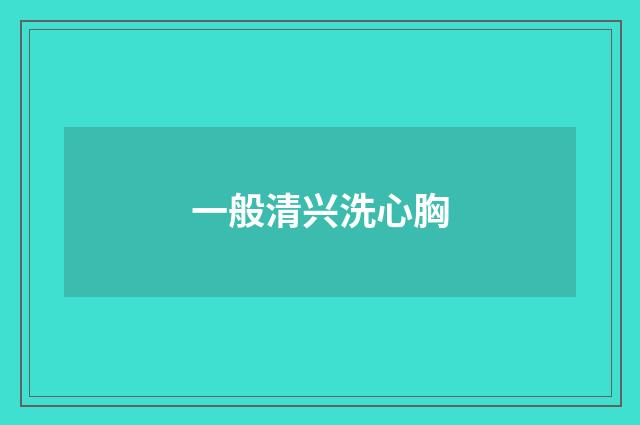 一般清兴洗心胸