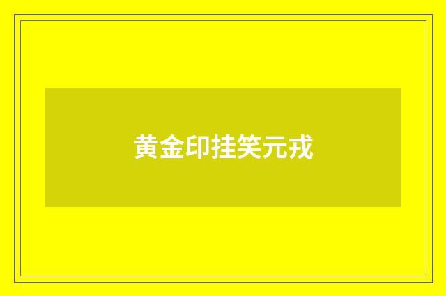 黄金印挂笑元戎