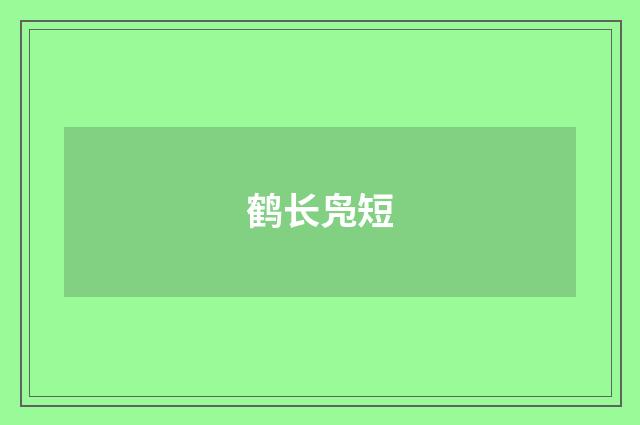 鹤长凫短