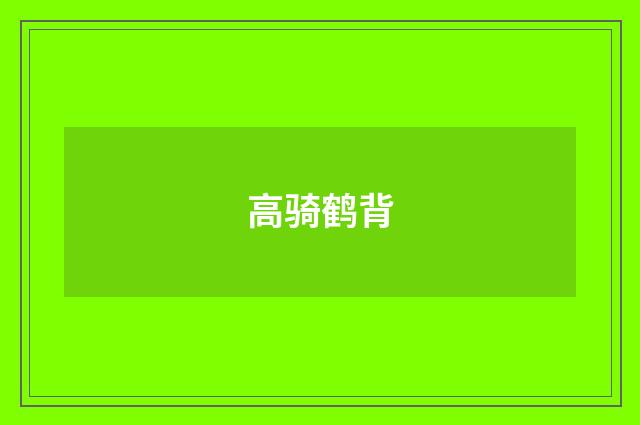 高骑鹤背