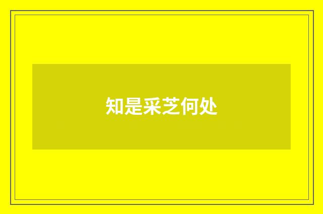 知是采芝何处