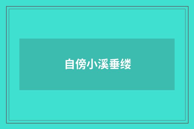 自傍小溪垂缕