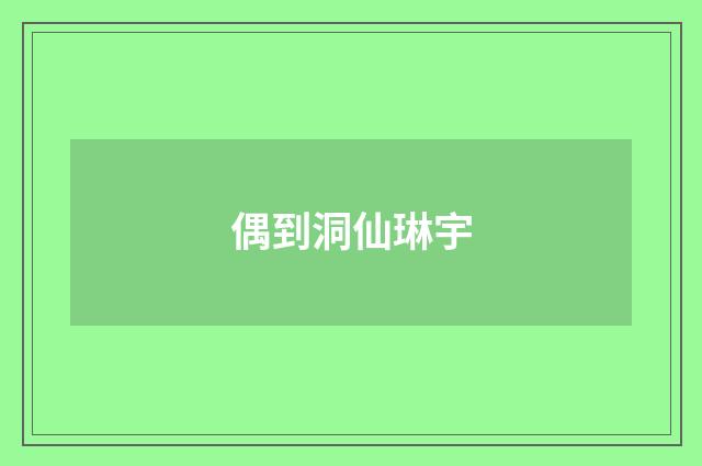 偶到洞仙琳宇