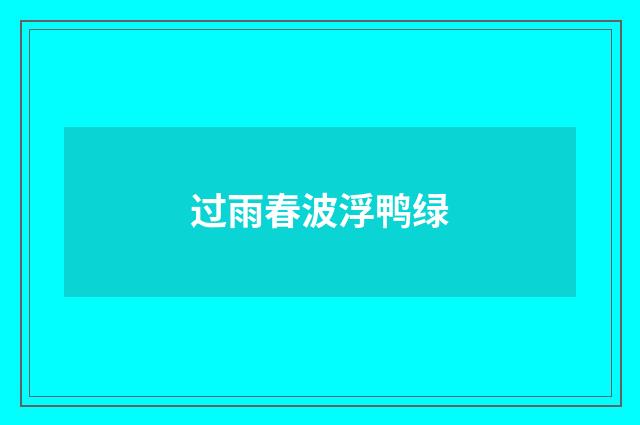 过雨春波浮鸭绿